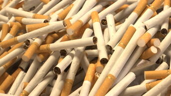 Meer dan 20 miljoen euro aan boetes voor Illegale sigarentenfabriek Pelt