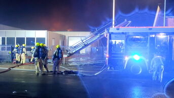 Brand in Hamont legt magazijn van metaalbedrijf in de as