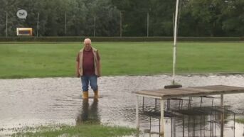 Aanhoudende regen zorgt voor wateroverlast: hondenrenbaan en plantencentrum ondergelopen in Beringen
