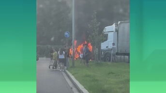 Auto brandt volledig uit langs E314 in Zonhoven