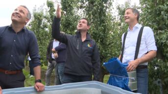 Premier plukt eerste peren, Boerenbond vraagt meer flexibiliteit voor seizoensarbeiders