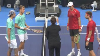 Gillé & Vliegen winnen voor eigen publiek in Davis Cup