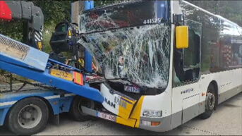 Ongeval tussen lijnbus en zwaar transport in Pelt