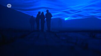 Waterlicht komt naar Maasmechelen: na Londen, Parijs, Dubai en New York is Kotem aan de beurt.