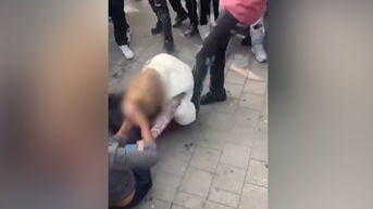 Vechtpartij minderjarige meisjes Pelt: vier verdachten voor jeugdrechter, burgemeester roept veiligheidsoverleg samen