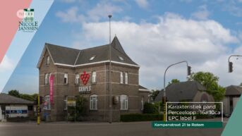 PANCARTETIP: Nicole Janssen - Handelspand in Rotem en Tongeren