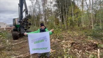 Actievoerders van Greenpeace blokkeren de kap van het Kolmenpark Tessenderlo