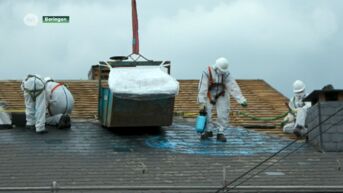 Starters:  Asbest Care in Beringen is asbestverwijderaar