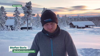 Stefan Goris trotseert met zijn sledehonden de vrieskou in Noorwegen