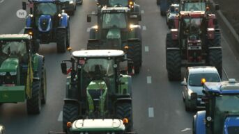 Vlaamse regering gaat met boeren in overleg