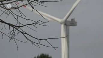 Windmolens omsingelen inwoners Overpelt Fabriek