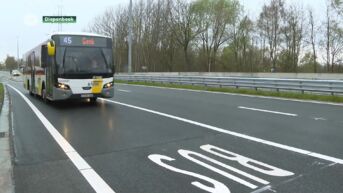 In Diepenbeek is de vrije busbaan voor de trambus tussen Hasselt en Maasmechelen in gebruik genomen