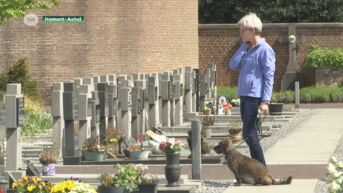 Hamont-Achel laat honden toe op kerkhof om nabestaanden te helpen in hun rouwproces