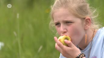 Limburgse fruitboeren vragen aandacht: 