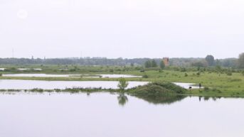 Veerponten uit de Maas gehaald door gestegen waterpeil