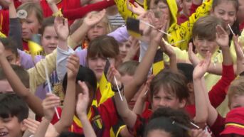 Rode Duivelsgekte in Limburgse scholen