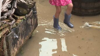 Huizen overstroomd in Hoeselt: 'Wij staan met de voeten in het water door gebrekkig onderhoud aan de Demer'