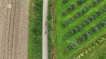 Spanningen in Borgloon tussen toerisme en landbouw