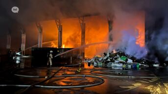 Rookpluim en geurhinder door grote brand bij Genks recyclagebedrijf