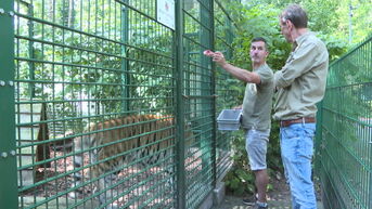 Natuurhulpcentrum zet deuren open voor publiek