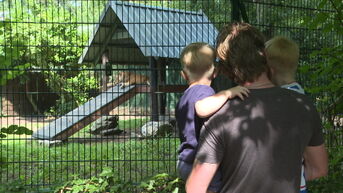 Opendeurdag Natuurhulpcentrum is groot succes