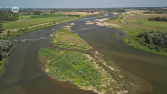 Beheer van de Maas is voorbeeld voor andere rivieren