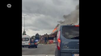 Zware woningbrand aan Kuringersteenweg Hasselt