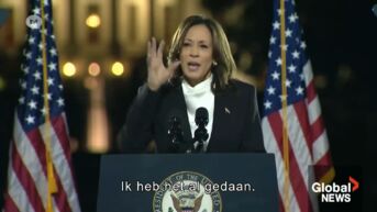 Amerikaanse in Zonhoven stemde al voor Kamala Harris