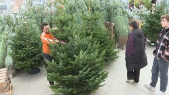 Kerstbomen vliegen nu al de deur uit