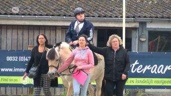 Stad Peer doet de Breugelhoeve van de hand