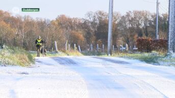 Stevige winterprik zorgt voor sneeuwtapijt in Bree en omstreken