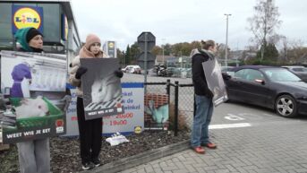 Dierenrechtenorganisatie Bite Back protesteert tegen verkoop konijnenvlees aan Lidl in Genk