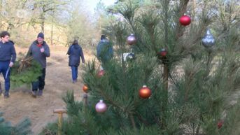 Gezinnen geven sparren tweede leven als kerstboom én helpen met beheerswerken Nationaal Park Hoge Kempen