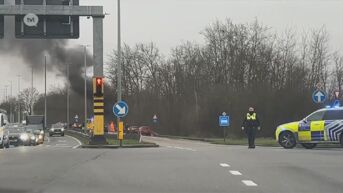 Peperdure Ferrari crasht en gaat in vlammen op