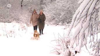 Limburgers profiteren van sneeuw in Hoge Venen