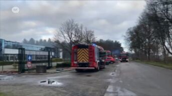 Zware bedrijfsbrand in Hamont onder controle