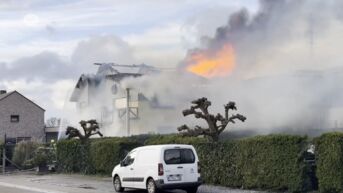 Uitslaande brand legt appartement in Lanaken in de as