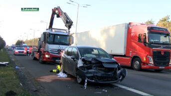 Personenwagen botst met rijdende vrachtwagen op E314 in Zutendaal