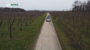 Isolde en Sven rijden woestijnrally met een Twingo