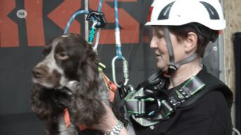 Reddingsteams oefenen met honden op hoogte