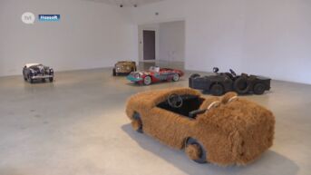 Harige auto's en immense vissen: nieuwe expo's Z33 prikkelen de zintuigen