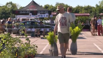 Planten-en korteketenmarkt zet Hasselts volkstuinencomplex in de kijker