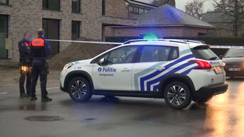 Werkstraf voor moeder van 12-jarige die agent in Peer neerstak