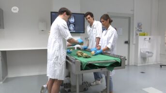 Als dokter afstuderen kan nu ook in Limburg