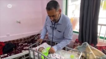 Limburgse Palestijnen zien familieden hongerdood sterven bij humanitaire ramp in Gaza