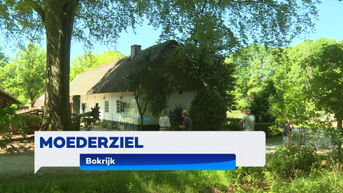 TVL Nieuws van zondag 11 mei 2025