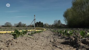 Droogte wordt erger: Jo Brouns roept op om zuinig te zijn met kraantjeswater en regenwater