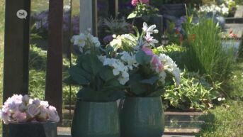 Onbekenden stelen bloemen van kerkhof Kermt in Hasselt