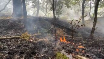 Code Rood in onze provincie, vooral brandgevaar in de Limburgse heidegebieden