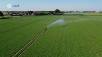 Boeren vragen prioritaire toegang tot water: zonder water geen oogst